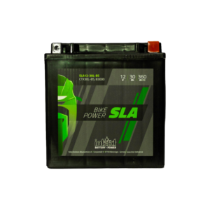 Batería Intact AGM YIX30LBS, 30 Ah